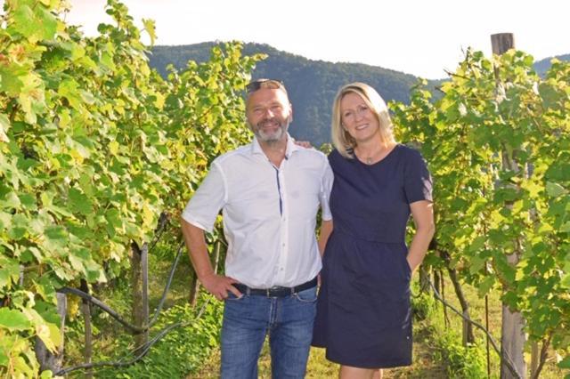 Апартаменты Weingut Baeuerl Дюрнштайн Экстерьер фото